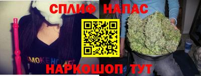 сатива Тара