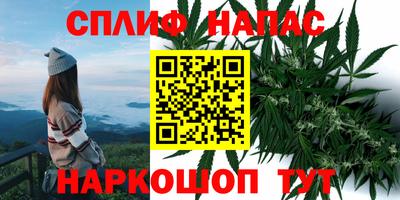 сатива Тара